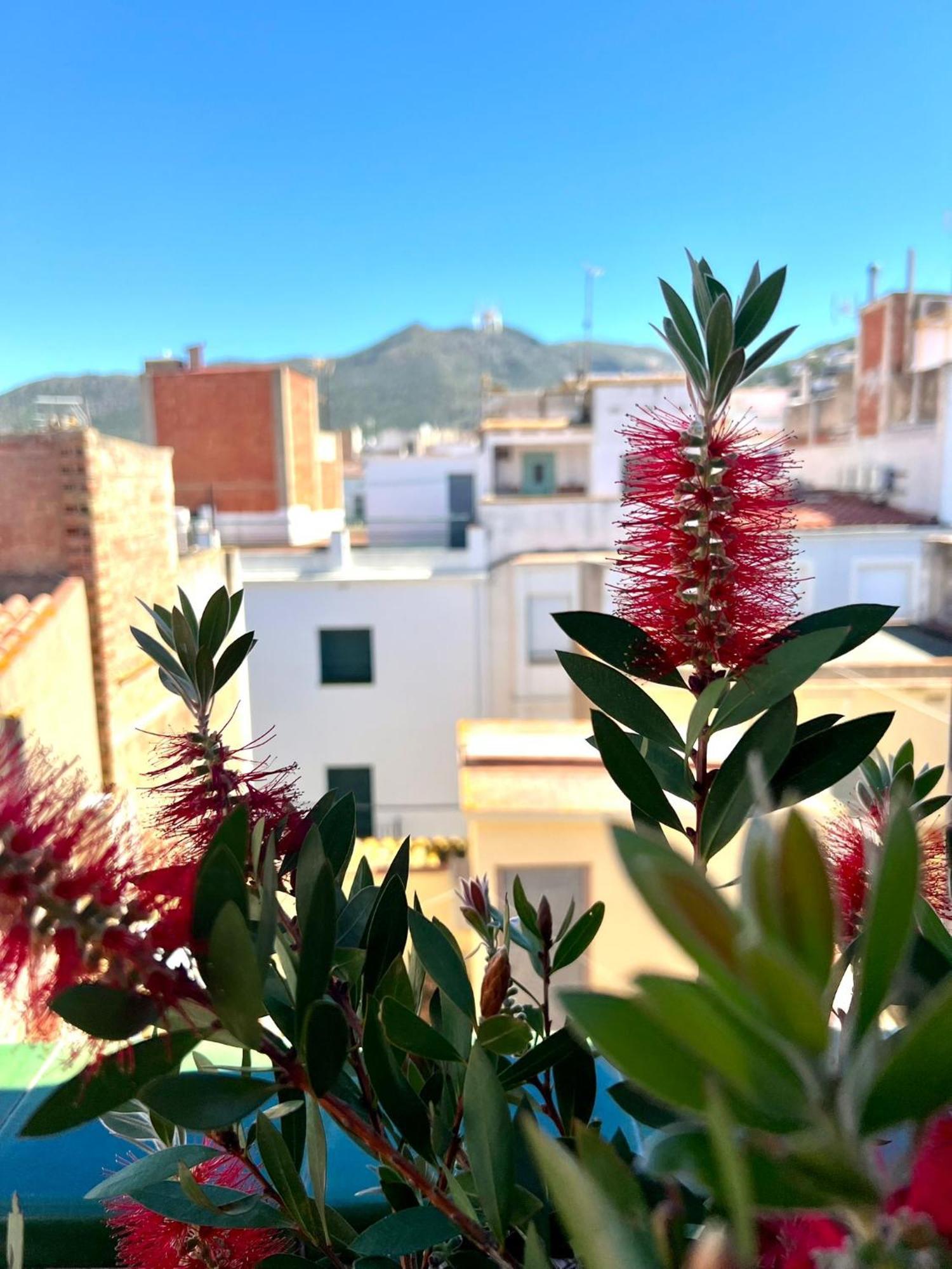 Escondite Central Con Terraza Compartida En La Azotea Roses Exterior foto